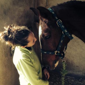 blog de caballos nmv horses natalia mendez del valle blog de equitación
