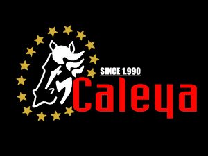 clases de equitación en madrid. aprende a montar a caballo. blog de caballos nmv horses