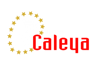 clases de equitación en madrid. aprende a montar a caballo. blog de caballos nmv horses