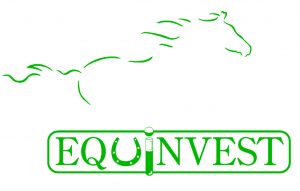 logo Equinvest